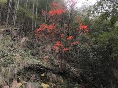 -水墨汀溪风景区