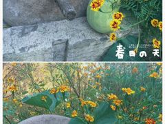 -百花人家(清水田园店)