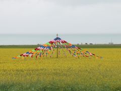 -青海湖国家重点风景名胜区