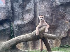 -杭州野生动物世界
