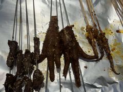 -勇利赵家烤肉坊(翠华北路店)