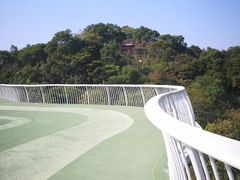 -飞凤山奥体公园