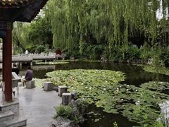 -文瀛公园