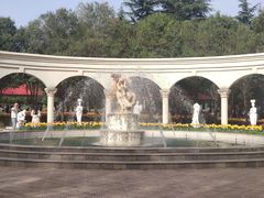 -洛阳郁金香牡丹园