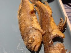 -肉串汪(望京店)