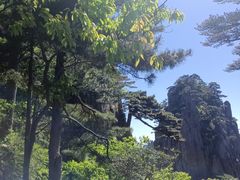 -黄山风景区