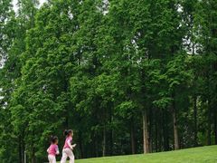 -成都保利公园皇冠假日酒店(熊猫基地店)
