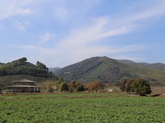 -径山花海