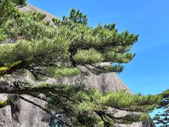 -黄山风景区