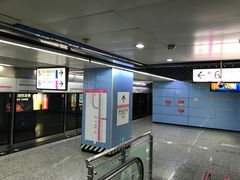 -大龙山(地铁站)