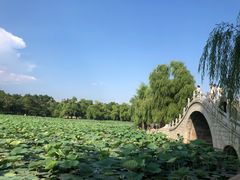 -长春市南湖公园