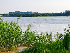 -绿堤公园