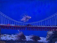 -太平洋海底世界