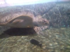 -福州罗源湾海洋世界旅游区