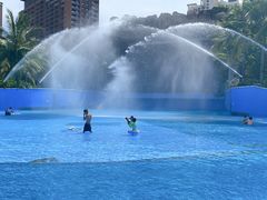 -亚马逊丛林水乐园