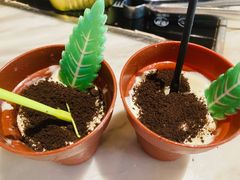 冰淇淋盆栽-火炉火自助餐(西直门凯德MALL店)