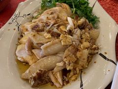 香油鸡-化州大众美食城(宝安老牌店)