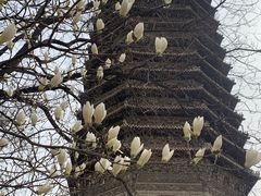 -玲珑塔公园