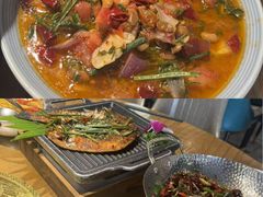 -金塔傣乡·云南德宏民族特色菜·傣味手抓饭(新亚洲店)