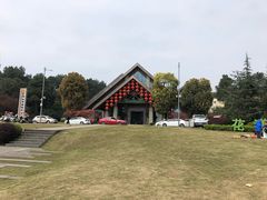 -铁山坪森林公园