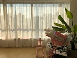 -E.L.K造型momopark店