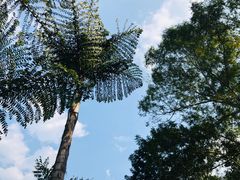-中国科学院西双版纳热带植物园