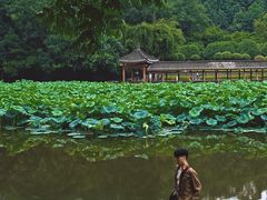 -龙头寺公园