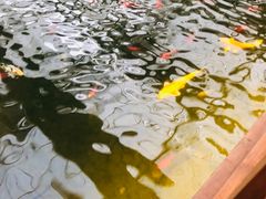 -汤山翠谷生态餐厅