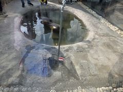 -廊坊固安福朋喜来登酒店