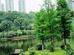 -重庆彩云湖湿地公园