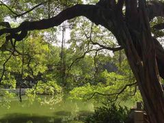 -小洲村