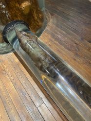 -Zoolung Zoolung动物主题公园(海信广场店)