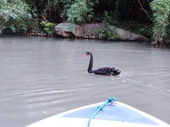 -上海滨江森林公园
