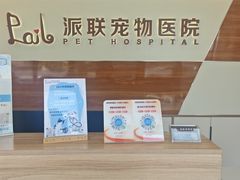 -派联宠物医院·24h·CT·异宠