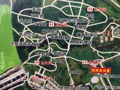 -广西壮族自治区药用植物园