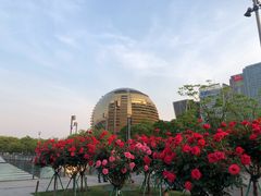 -钱江新城灯光秀