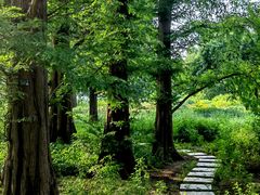 -国家植物园南园