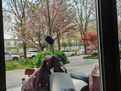 -军嫂饺子馆(岳家寨小区店)