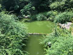 -杭州西湖风景名胜区-三生石