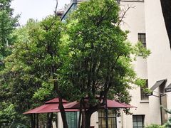 -徐家汇源景区-衡山坊