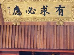 -深圳仙湖植物园