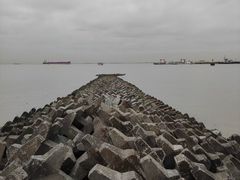 -上海滨江森林公园