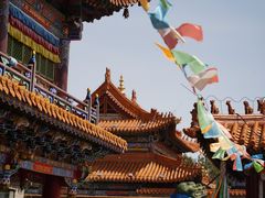-大召无量寺