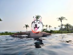 -三亚亚龙湾天域度假酒店