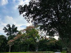 -中国科学院西双版纳热带植物园