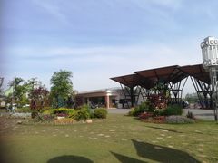 -上海长兴岛郊野公园