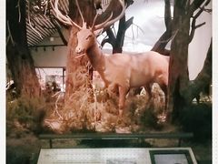 -中国湿地博物馆