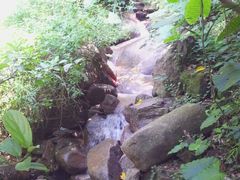 android_upload_pic-火炉山森林公园