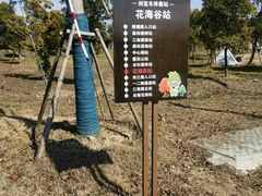 -上海滨江森林公园