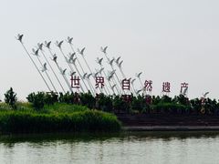-南大港湿地风景区
